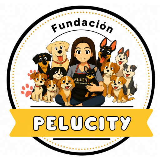 Fundacion